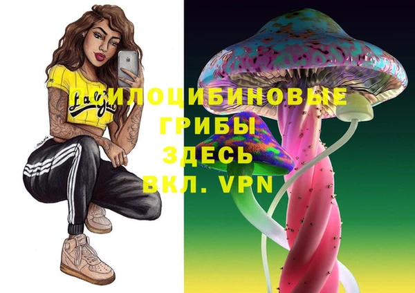 первитин Краснослободск