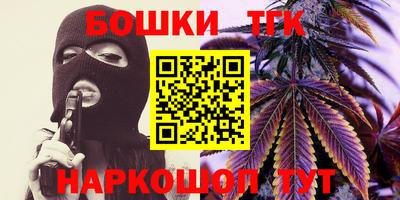шишки Заволжье
