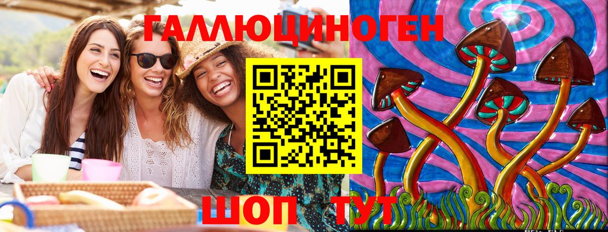Псилоцибиновые грибы Psilocybe Камень-на-Оби