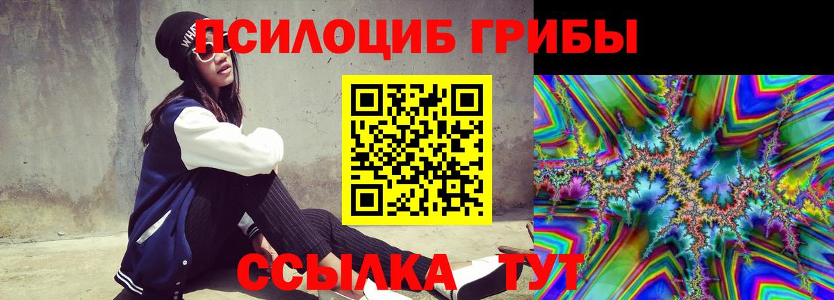 Камень-на-Оби  Галлюциногенные грибы GOLDEN TEACHER  Вход с VPN 
